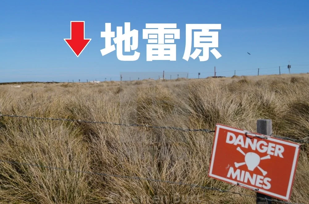 地雷原